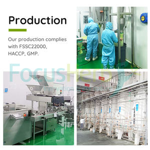 FocusHerb Supplément d'extrait de plantes de qualité alimentaire 4% poudre d'acide cichorique de fleur d'échinacée pourpre - Product Image 5