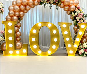 Lampes à lettres lumineuses néon LED RGB de 2 pieds, 3 pieds, 4 pieds pour la décoration de fête de mariage d'anniversaire en plein air - Product Image 2