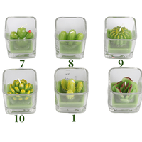 Bougie cactus de noël pour enfants, 10 pièces, ensemble cadeau, emballage pour petites attentions pour les bébés, livraison directe