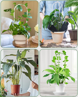 Treillis pour plantes grimpantes en acrylique transparent en forme de U moderne, tailles 30cm/47cm/48cm/58cm