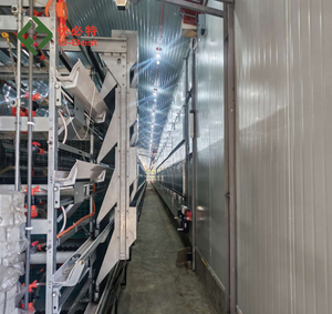 Oferta Especial: Jaula Automática Tipo H <span class=keywords><strong>de</strong></span> 3-4 Niveles <span class=keywords><strong>para</strong></span> Gallinas Ponedoras, Equipo Moderno <span class=keywords><strong>para</strong></span> Cría <span class=keywords><strong>de</strong></span> <span class=keywords><strong>Pollos</strong></span> <span class=keywords><strong>de</strong></span> Engorde, Jaula <span class=keywords><strong>para</strong></span> Aves <span class=keywords><strong>de</strong></span> Corral - Product Image 5