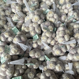 <span class=keywords><strong>2025</strong></span> New Trung Quốc Rau Tươi Bình Thường Tỏi Trắng Và Màu Đỏ Tím Tỏi Trong Giá Số Lượng Lớn - Product Image 2