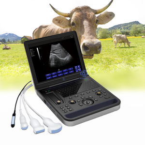 Ecógrafo Portátil para Ganado, Escáner de Ultrasonido Veterinario <span class=keywords><strong>con</strong></span> 3 Sondas - Product Image 1