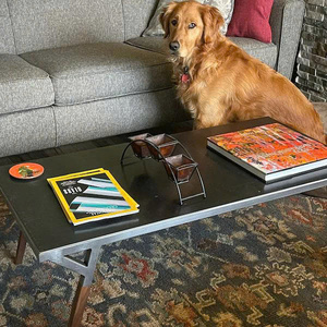 Table basse en acier faite à la main, style Mid-Century Modern, finition personnalisable, durable, mobilier de salon, vente en gros - Product Image 2