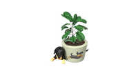 Pot de fleurs en céramique en forme de chien teckel mignon de dessin animé pour plantes succulentes et jardinage, taille et logo personnalisables, porcelaine faite à la main, décoration d'intérieur