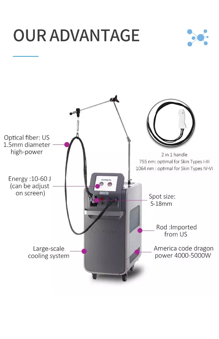 High End Nd YAG Laser Fiber Optics Painless Hair Removal Machine 755nm 1064nm Permanent Hair Removal Skin Whitening Equipment