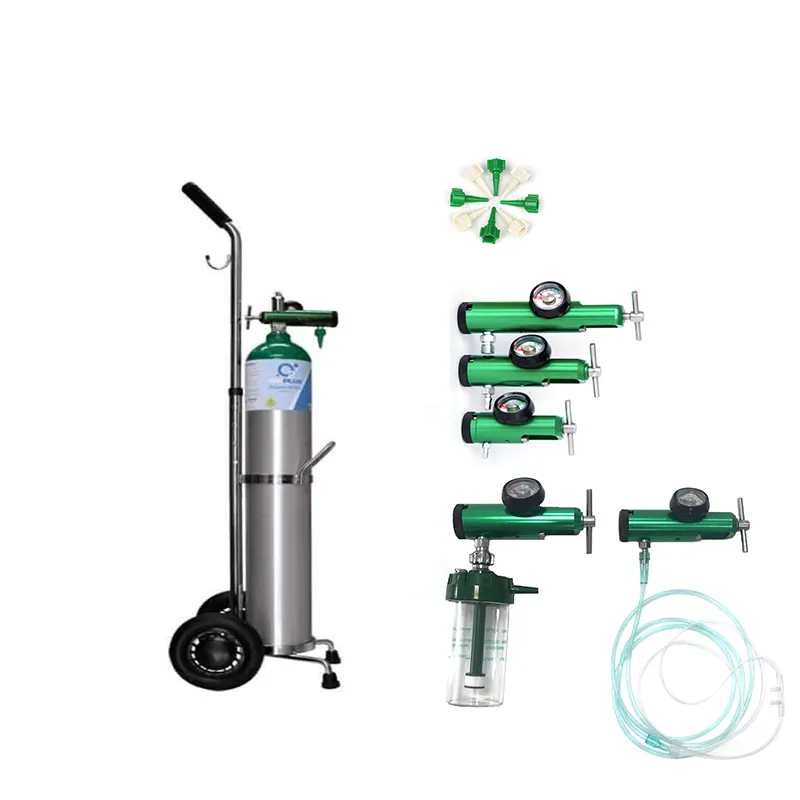 Bouteille de gaz oxygène médicale portable avec chariot avec régulateur d'oxygène