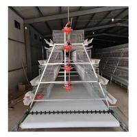 Élevage de volailles 1000 Dimension de poulet Couche de maille en acier automatique Cage de poulet Conception de système de ferme Élevage de batterie