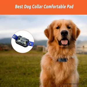 Manejar Control remoto Entrenamiento Good Bebavior Ultrasonic Bark <span class=keywords><strong>Deterrent</strong></span> - Product Image 6