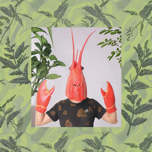 Máscara de Cangrejo y Langosta de Dibujos Animados <span class=keywords><strong>Cyou</strong></span>, Guantes de Látex, Disfraz Ecológico de Cara Completa para Halloween, Cosplay, Cómic, Carnaval, Fantasía - Product Image 3