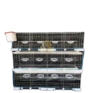 Wholesale 3 Floor Meat Pigeon House Galvanized Welded Wire Pigeon Cages For Farm Agriculture