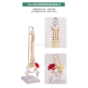 45CM - Product Image 2