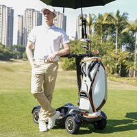 Trottinette de golf électrique à 4 roues, planche de golf debout avec support pour sac de golf et support pour parapluie, batterie lithium 48V, skateboard de golf pour adulte