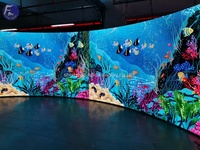 Pantalla LED Flexible para Interiores de Rendimiento Estable, Pantalla de Video LED Curva en Forma de X para Exhibición en Stands