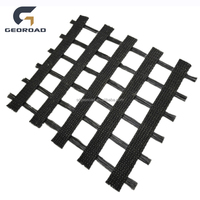 Geogrid de Poliéster Personalizado GEOROAD Shandong 80KN para Muros de Contención, Refuerzo de Taludes, Rejilla Bidireccional Tejida por Urdimbre para Carreteras/Ferrocarriles