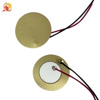 Buzzer piézoélectrique à décibels élevés de 12/15/18/20/27/35/50 mm, buzzer en céramique piézoélectrique personnalisé pour équipement industriel