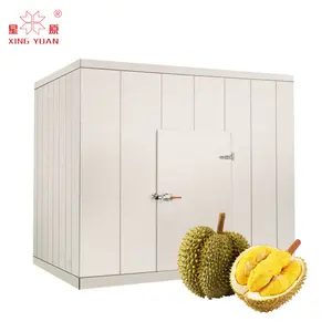 Factory Price Manufacturer Supplier quick freezer container freezer 20ft cold room refrigerator