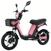 Vélo Électrique Cyclomoteur 18 Pouces à Cadre en Acier avec Batterie au Lithium Électronique, Puissances 350W/500W/1000W – Vente Directe Usine – Offre Spéciale