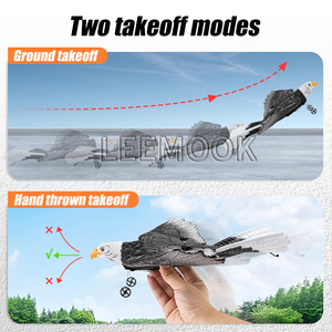 2.4GHz 2CH điều khiển từ xa <span class=keywords><strong>b</strong></span>ọt máy bay đồ chơi mô phỏng Sải Cánh Đại <span class=keywords><strong>B</strong></span>àng RC tàu lượn máy bay đồ chơi - Product Image 4