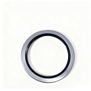 Sello de Aceite para Eje de Transmisión Industrial Delphi/CAV Lucas DP200 (Goma Resistente al Aceite) Redondo de Alta Calidad OEM 7174-856 - Product Image 4