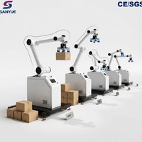 Paletizador Robótico para Exportación Comercial, Manejo de Carga, Capacidad de Carga de 30 kg, Ahorro de Espacio, Instalación Rápida, Servicio Personalizado