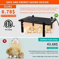 Plaque chauffante de haute capacité pour poussins, de bonne qualité, pour poulailler et petits animaux
