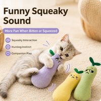 Mainan Kucing Boneka Catnip Baru, Mainan Kunyah Interaktif untuk Mengatasi Kebosanan, Cocok untuk Anak Kucing dan Kucing Dalam Ruangan