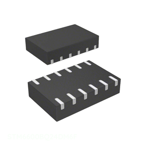 Componentes Electrónicos PMIC (Power Management IC) STM6600BQ24DM6F 12 WFDFN - Canal de Fabricante de ICs - SUPERVISOR IC 1 CANAL 12TDFN - Product Image 1