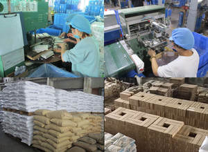 Korektor Cinta korektor pabrik OEM/ODM Set pita koreksi kustom hewan peliharaan pelajar 5mm * 12m - Product Image 4