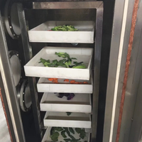 Machine de séchage sous vide à micro-ondes à basse température de petite taille (type armoire) pour la transformation alimentaire