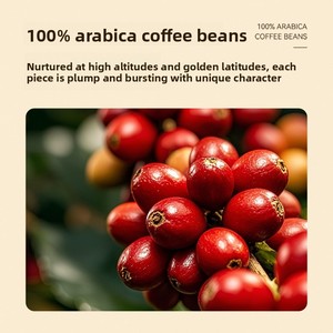 KingCat 15x Concentrated <strong>Coffee</strong> <strong>Liquid</strong> 8 Pack Strong <strong>Coffee</strong> Drink 100% Arabica Strong Aroma <strong>Coffee</strong> - Product Image 5