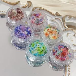 Arte de <span class=keywords><strong>uñas</strong></span> de estilo japonés pequeños estampados florales <span class=keywords><strong>flores</strong></span> secas <span class=keywords><strong>flores</strong></span> prensadas DIY arte de <span class=keywords><strong>uñas</strong></span> decoraciones florales - Product Image 3