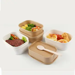 OEM/ODM bol en papier kraft unique boîtes à emporter jetables pour salade pulpe de bambou rectangulaire fournisseur de bols en papier alimentaire avec couvercle