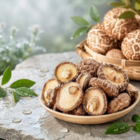 Échantillon de champignons Shiitake séchés naturellement à l'air, champignons comestibles, petite commande d'essai