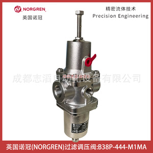 วาล์วลดแรงดันนอร์เกรน B38P-444-M1MA 1/2 นิ้ว สำหรับแก๊สอุณหภูมิต่ำแบบนิวเมติก - Product Image 3