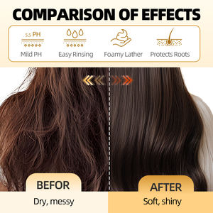 La scatola di alluminio 60g all'ingrosso più venduta idrata ripara i capelli danneggiati rivitalizzante lo Shampoo allo zenzero del cuoio capelluto - Product Image 3