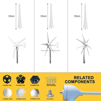 Éolienne à axe vertical haute efficacité, couleur personnalisée, 1 kW, 24 V, 48 V, pour utilisation agricole, zones éloignées