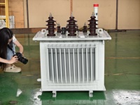 100kVA-2500kVA Üç Fazlı 35kV 60Hz Yağlı Tip Güç Trafosu Tam Bakır Dış Mekan Tipi Afrika Pazarı için