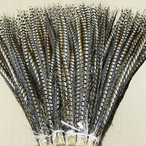 Piume Lunghe di Fagiano Lady Amherst per Costumi di Carnevale, Copricapo, <span class=keywords><strong>Cappello</strong></span> da Ballo, Motivo Tinto in Capo - Product Image 3