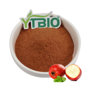 サンザシ果実エキス粉末 - 機能性食品やサプリメントのための自然な消化サポートと抗酸化作用 - Product Image 2