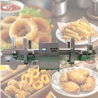 Friteuse à courroie continue personnalisée Friteuse pour frites de pomme de terre/chips de banane Snack Poulet Poisson Fastfood Plant