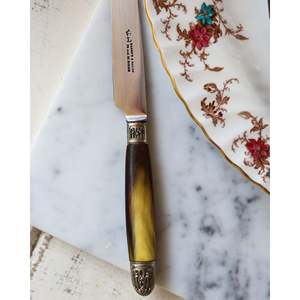 Ensemble de 12 couteaux à dîner avec manche en résine brun dégradé - Product Image 1