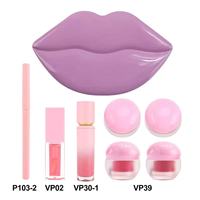 Kit de Maquillage des Lèvres 5-en-1 Personnalisable Sans Logo Boîte en Métal Brillant à Lèvres Huile Masque Crayon Exfoliant Boîte de 5 Pièces Faible MOQ