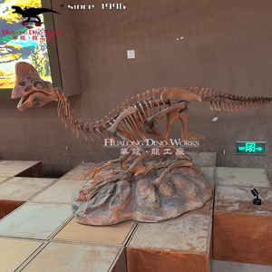 Parque Jurásico <span class=keywords><strong>de</strong></span> Dinosaurios, Modelo Fósil <span class=keywords><strong>de</strong></span> <span class=keywords><strong>Dinosaurio</strong></span> <span class=keywords><strong>de</strong></span> Alta Simulación, <span class=keywords><strong>Esqueleto</strong></span> <span class=keywords><strong>de</strong></span> <span class=keywords><strong>Dinosaurio</strong></span> <span class=keywords><strong>Real</strong></span> Grande - Product Image 5