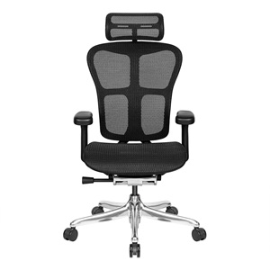Modern High Back Ergonomic Mesh Black Aluminum <b>Office</b> <b>Chairs</b> - Product Image 2