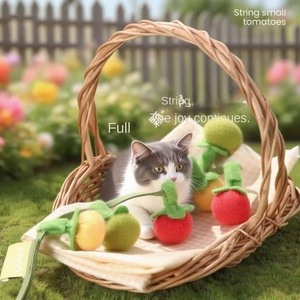 Brinquedos de Pelúcia para Gatos Resistentes a Mordidas com Frutas para Diversão Felina - Product Image 6