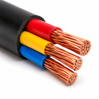 Kabel Distribusi Daya Industri Tembaga YJY 3 Inti 25mm2 35mm2 Berisolasi XLPE Selubung PE 0.6/1kV OEM ODM