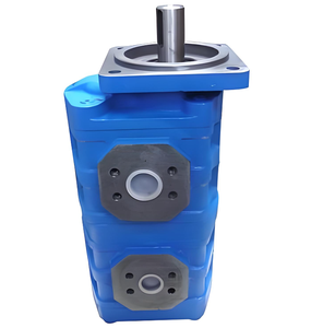 Bomba de Engranajes Doble CBGJ2063 Hansen (Números de Pieza - Origen Shandong 1 Año de Garantía para Talleres de Reparación de Maquinaria) - Product Image 6