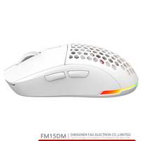 Mouse Gaming nirkabel ringan, Mouse Gamer dengan RGB, Mouse nirkabel ringan, mode ganda tipe-c berkabel/2.4G