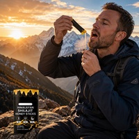 Bâtonnets de miel Shilajit OEM, miel himalayen pur avec minéraux pour l'énergie et le soutien immunitaire, adultes, 30 bâtonnets/boîte, vente en gros